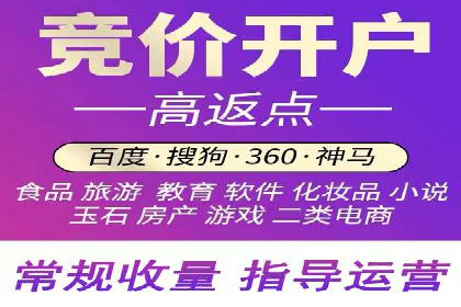 某公司通过百度竞价实现业务快速增长的案例